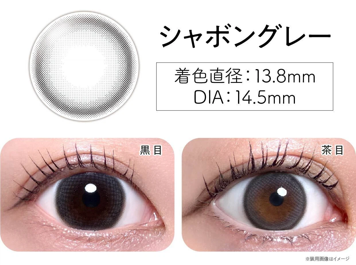 シンシアワンデーSクレシェ「シャボングレー」黒目と茶目の装用画像