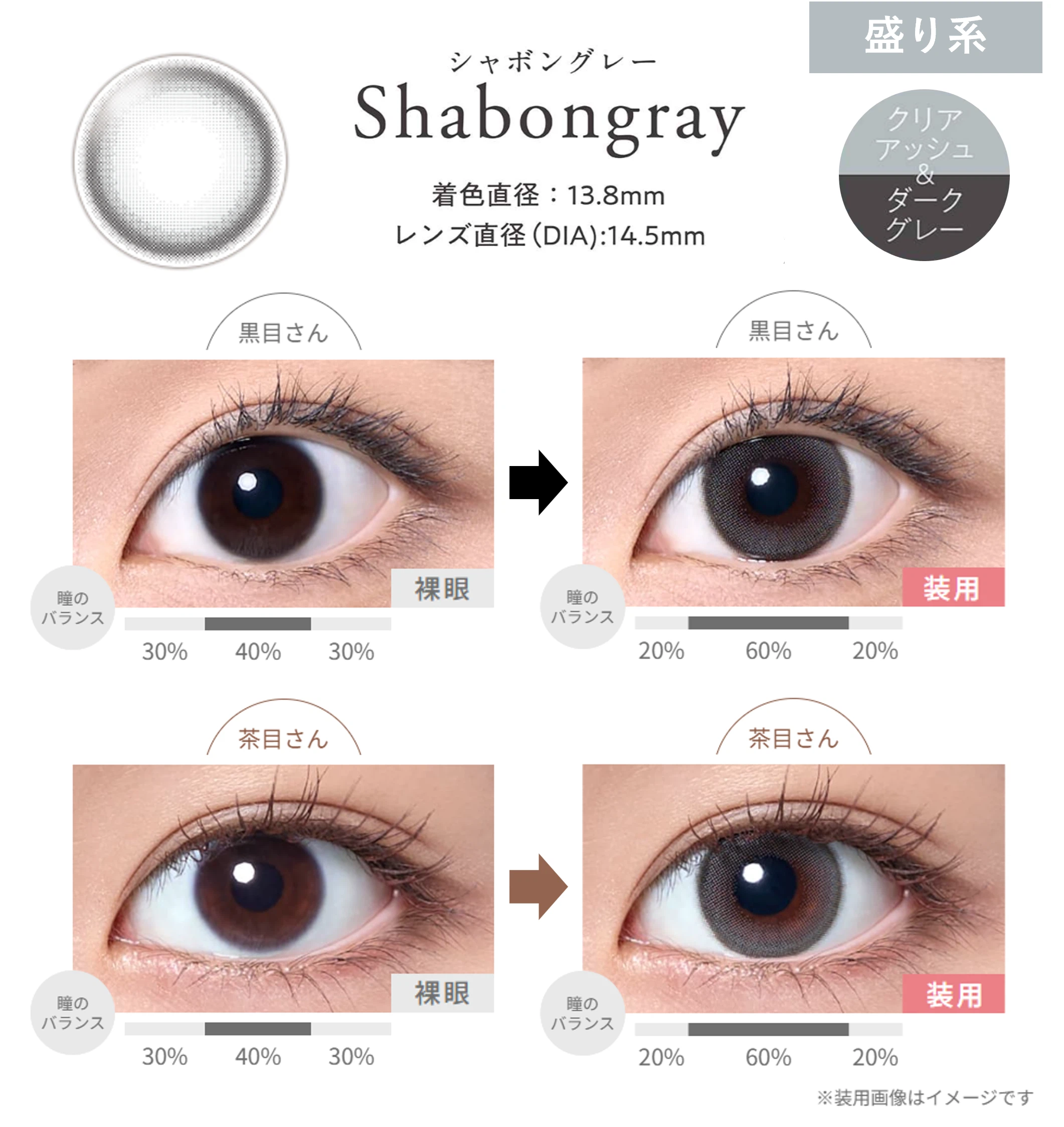 黒目と茶目のシャボングレー装用画像