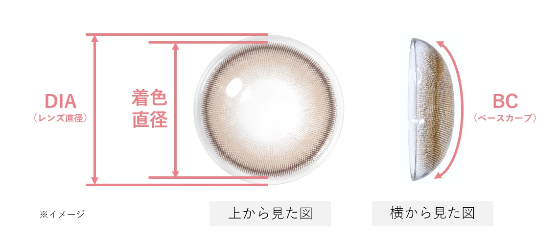 カラーコンタクトレンズの用語解説図