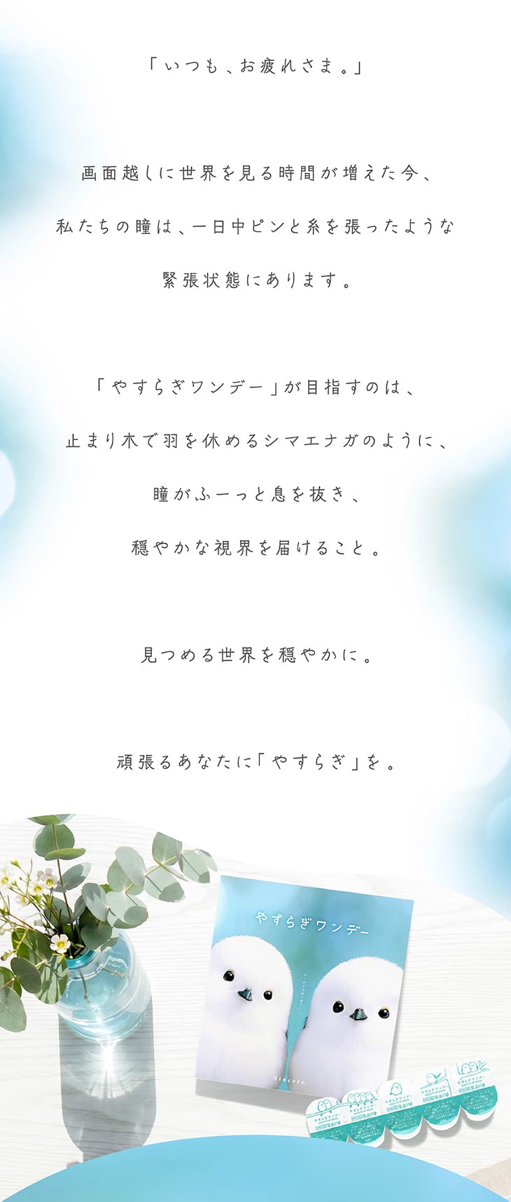 「いつも、お疲れさま。」画面越しに世界を見る時間が増えた今、私たちの瞳は、一日中ピンと糸を張ったような緊張状態にあります。「やすらぎワンデー」が目指すのは、止まり木で羽を休めるシマエナガのように、瞳がふーっと息を抜き、穏やかな視界を届けること。見つめる世界を穏やかに。頑張るあなたに「やすらぎ」を。