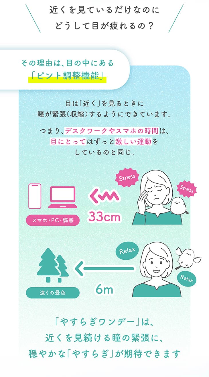 近くを見ているだけなのにどうして目が疲れるの？その理由は目の中にある「ピント調整機能」。目は近く（スマホ・PC・読書など約33cm）を見るときに緊張（収縮）しストレスがかかります。逆に遠くの景色（約6m）を見るとリラックスします。つまり、デスクワークやスマホの時間は目にとってはずっと激しい運動をしているのと同じ。「やすらぎワンデー」は、近くを見続ける瞳の緊張に、穏やかな「やすらぎ」が期待できます