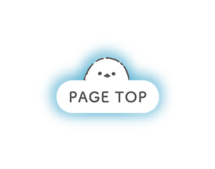 PAGE TOP
