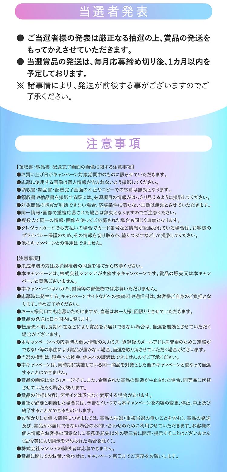 セクション6