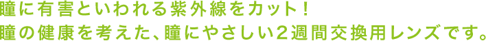 瞳に有害といわれる紫外線をカット！瞳の健康を考えた、瞳にやさしい2週間交換用レンズです。