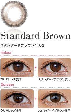 Standard Brown スタンダードブラウン：102